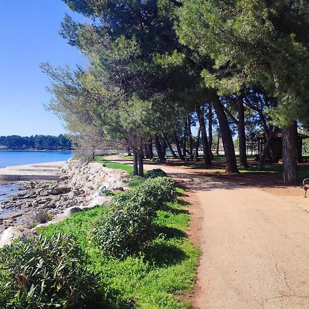 Apartments Novigrad Novigrad Istria Extérieur photo